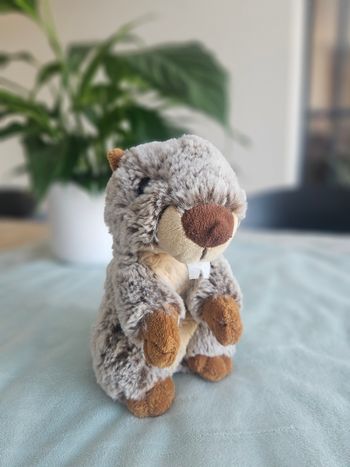 Peluche marmotte
