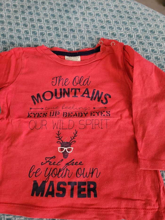Lot 2 T-shirts manches longues 24mois - photo numéro 3