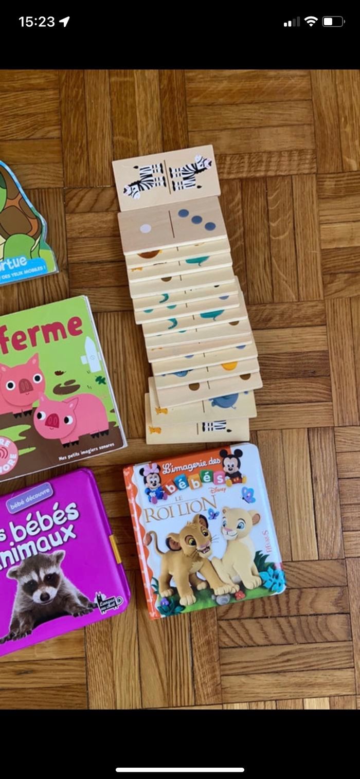 Lot livre et dominos - photo numéro 2