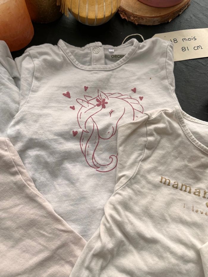 Lots de t-shirt - photo numéro 4