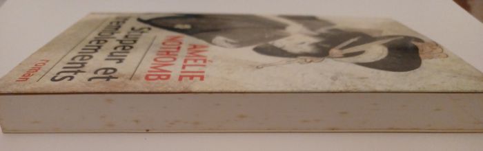 Roman "Stupeur et tremblements" - photo numéro 3