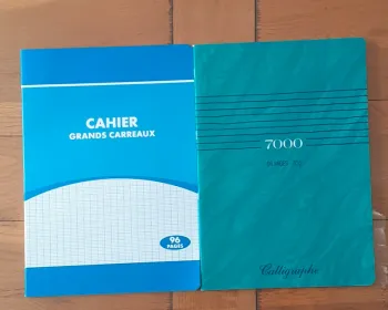 2 cahiers neufs avec grands carreaux