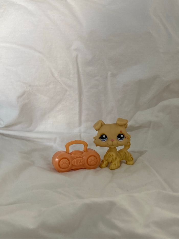 lps colley