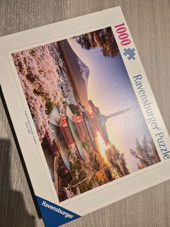 Puzzle 1000 pieces