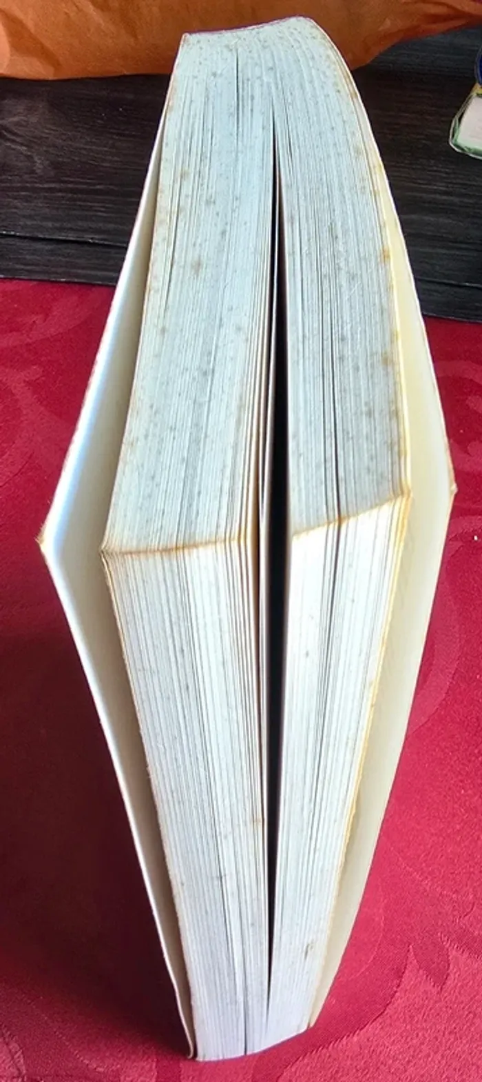 Livre les troupeaux du diable - photo numéro 3