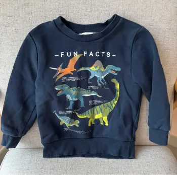 Pull c&a dinosaure 3ans