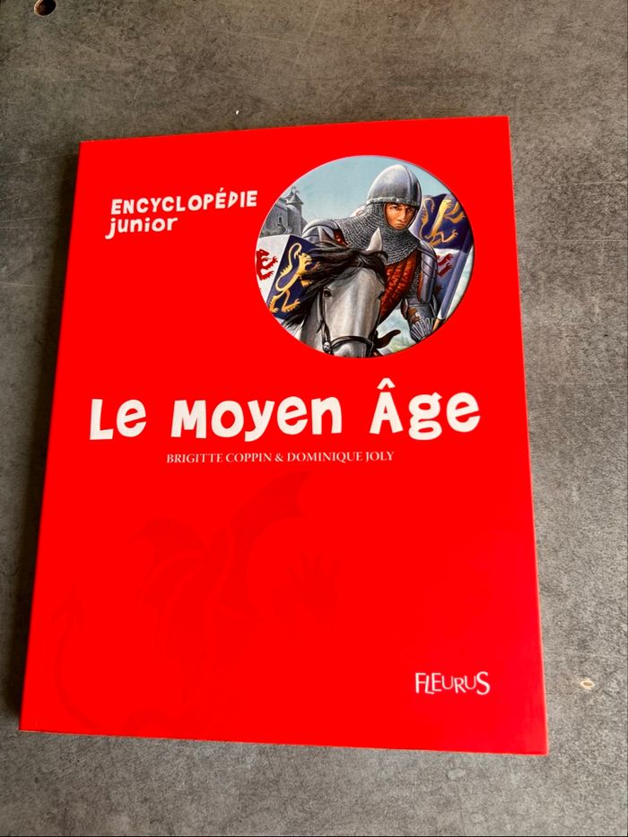 Le moyen âge fleurus - photo numéro 3