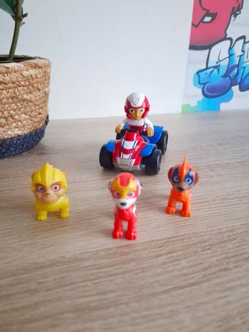 Rider et la super patrouille