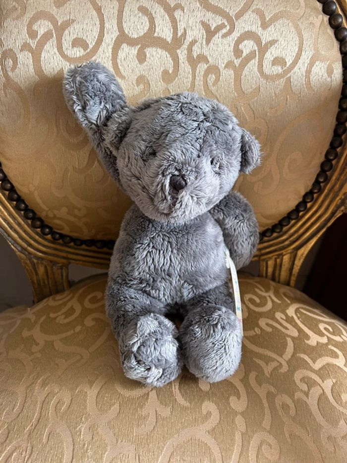 Petit ourson gris - photo numéro 14