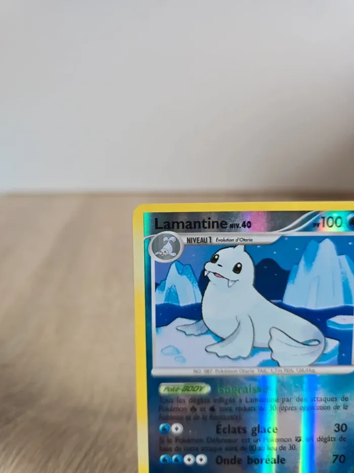 Lamantine 24/147 - photo numéro 2