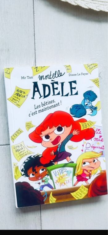 Livre Adèle les bêtises c est maintenant 2