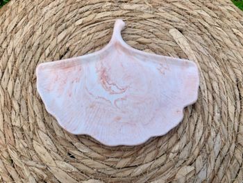 Vide poche feuille de ginkgo