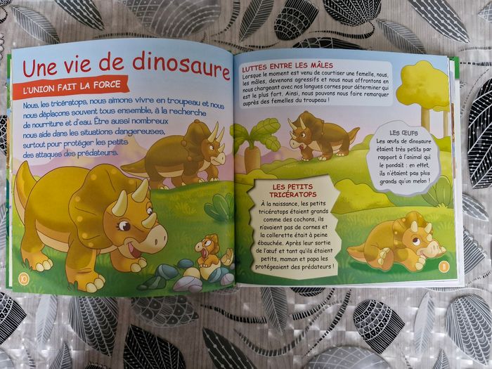Livre enfant - photo numéro 3