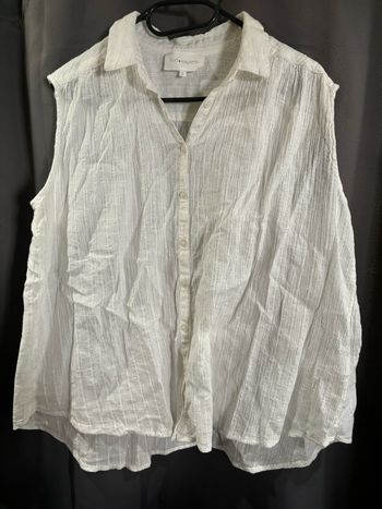 Chemisier blanc pailletée