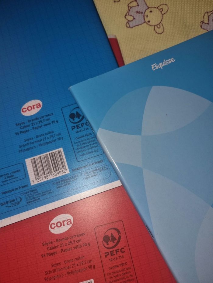 Lot de 3 cahiers + protèges cahier - photo numéro 3