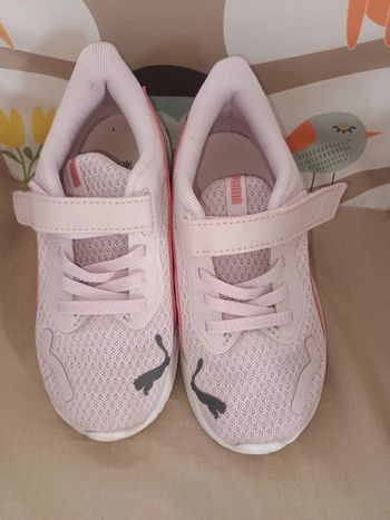 Basket puma