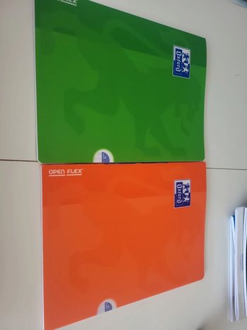 Lot 2 cahiers oxford open flex 24x32