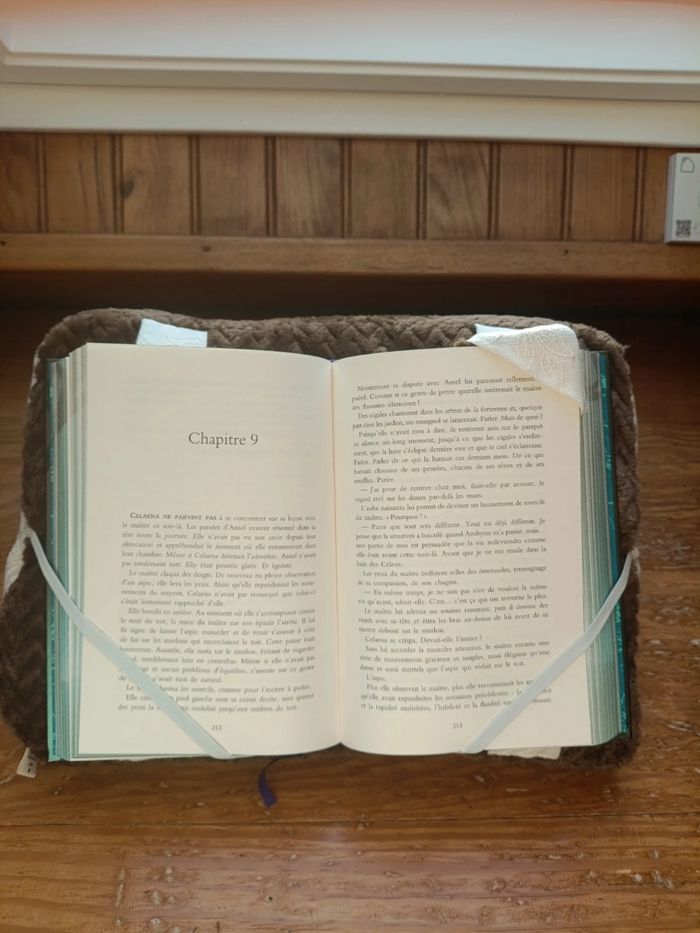 Coussin de lecture marron - photo numéro 2