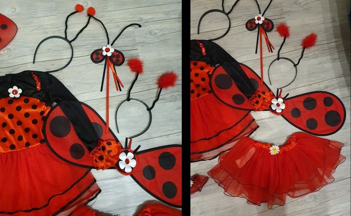 Ensemble déguisement coccinelle + reine des neiges 24/36 mois - photo numéro 9