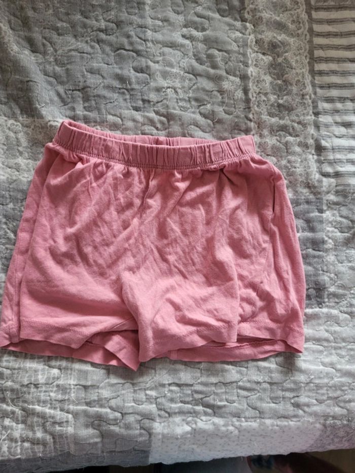 Short rose 4 ans