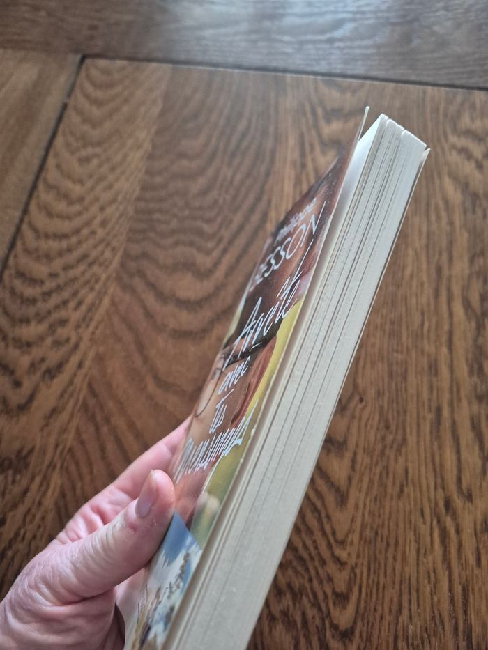 Livre arrêtes avec tes mensonges Philippe besson - photo numéro 4