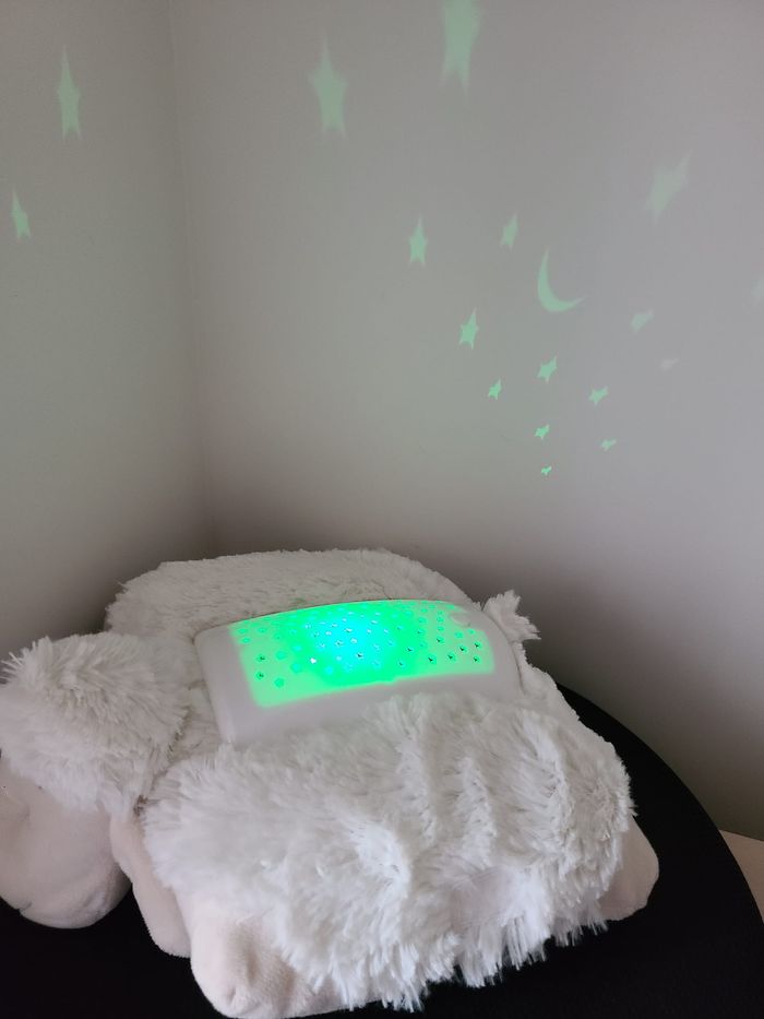 veilleuse - photo numéro 2