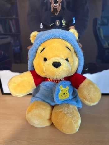 Winnie l’ourson et sa cape de bain