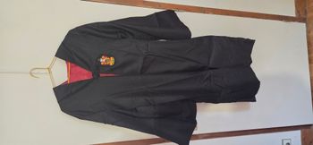 Deguisement de sorcier Gryffondor harry potter poudlard