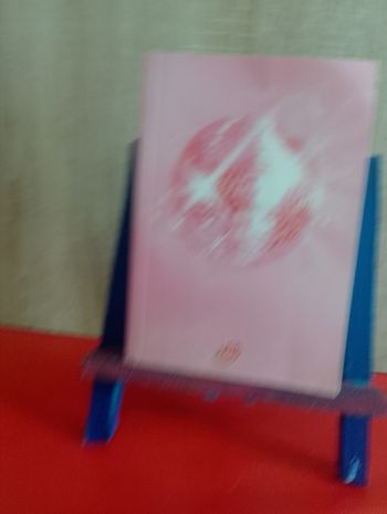 Journal d'une princesse. Vol. 7. Petite fête et gros tracas