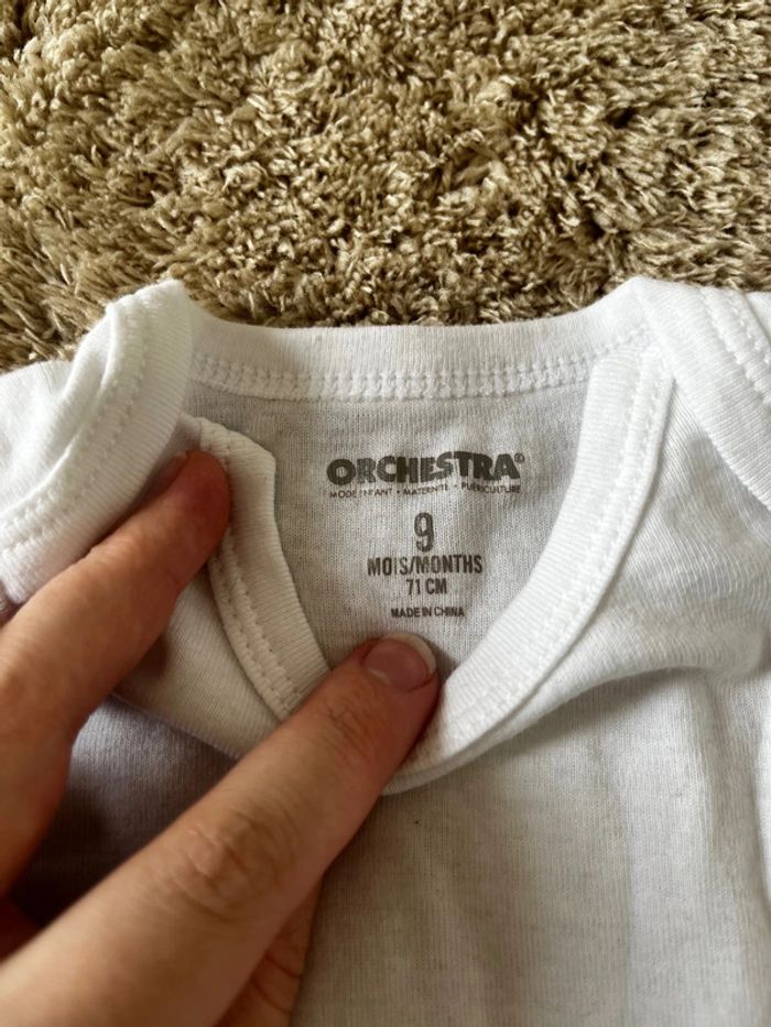 Bodie - photo numéro 2