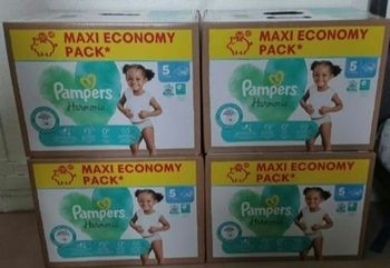 Couches pampers harmonie T5 