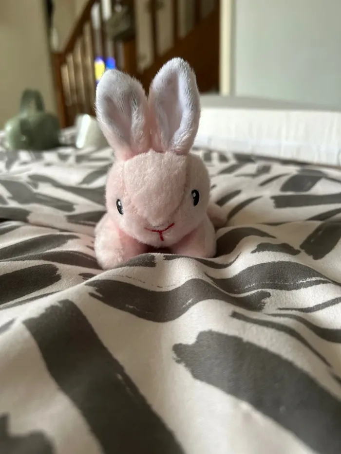 Peluche