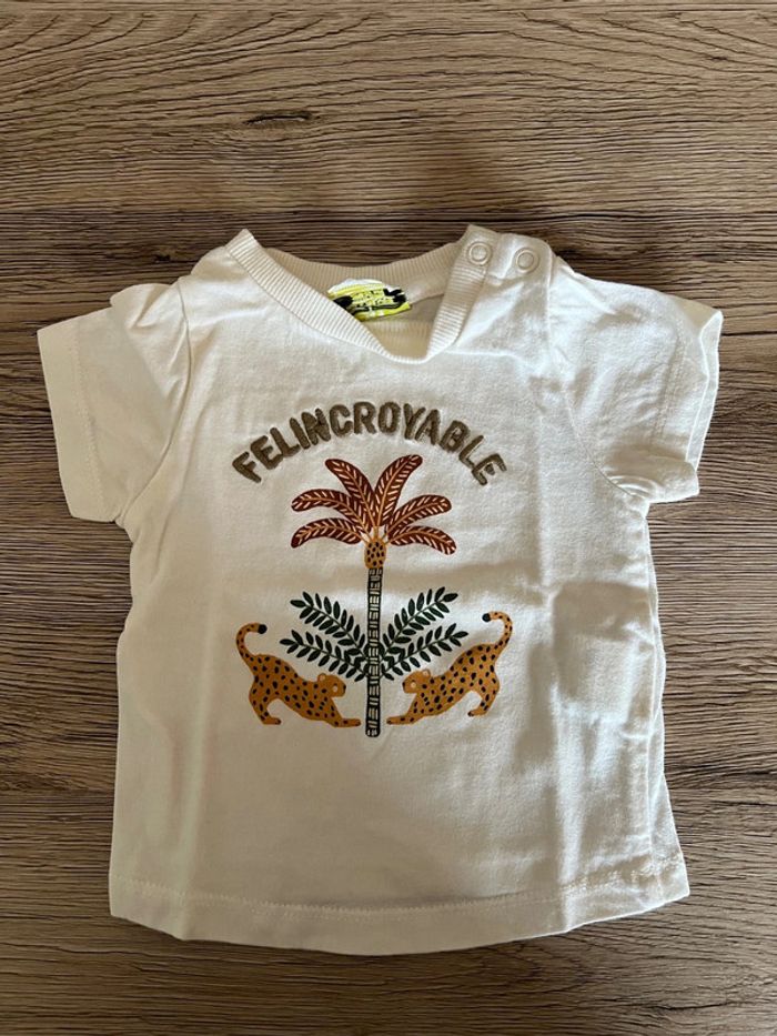 Teeshirt