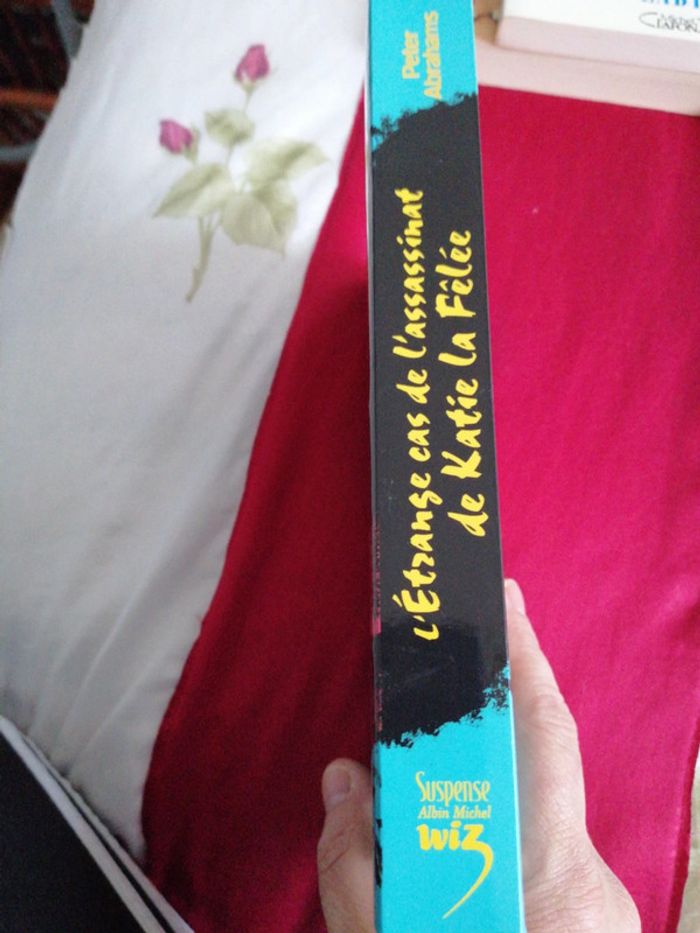 L étrange cas de l assassinat de Katie la fêlée - photo numéro 3