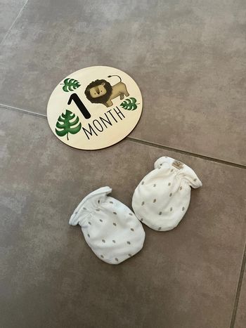 Moufles naissance orchestra