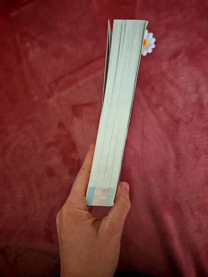 Livre 365 recette pour bébé - photo numéro 3