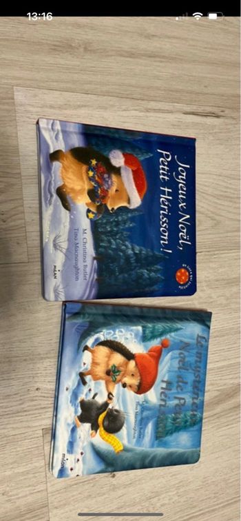 Livre le hérisson de Noël 