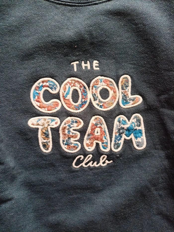 Pull + tee shirt Cyrillus - photo numéro 5