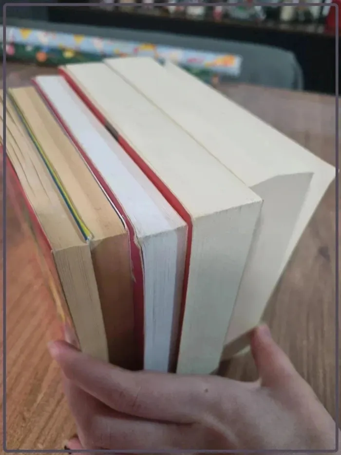 Lot de livres Journal d'une princesse de Meg Cabot - photo numéro 14