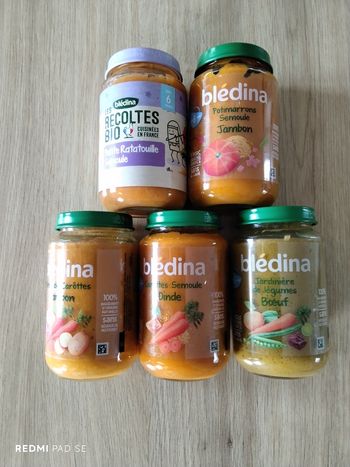 Lot pots bébé Blédina dès 6 mois