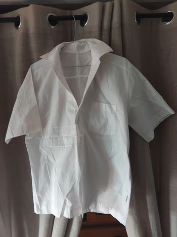 Chemisette pierre cardin