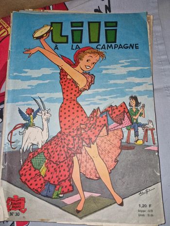 Lot de 4 livres style journaux lili vintage
