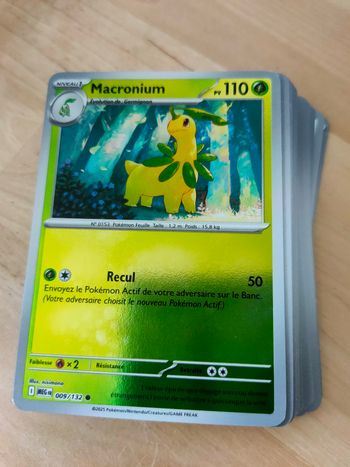 Reverses Méga-Évolution (MEG)