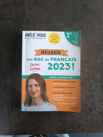 Livre bac de français
