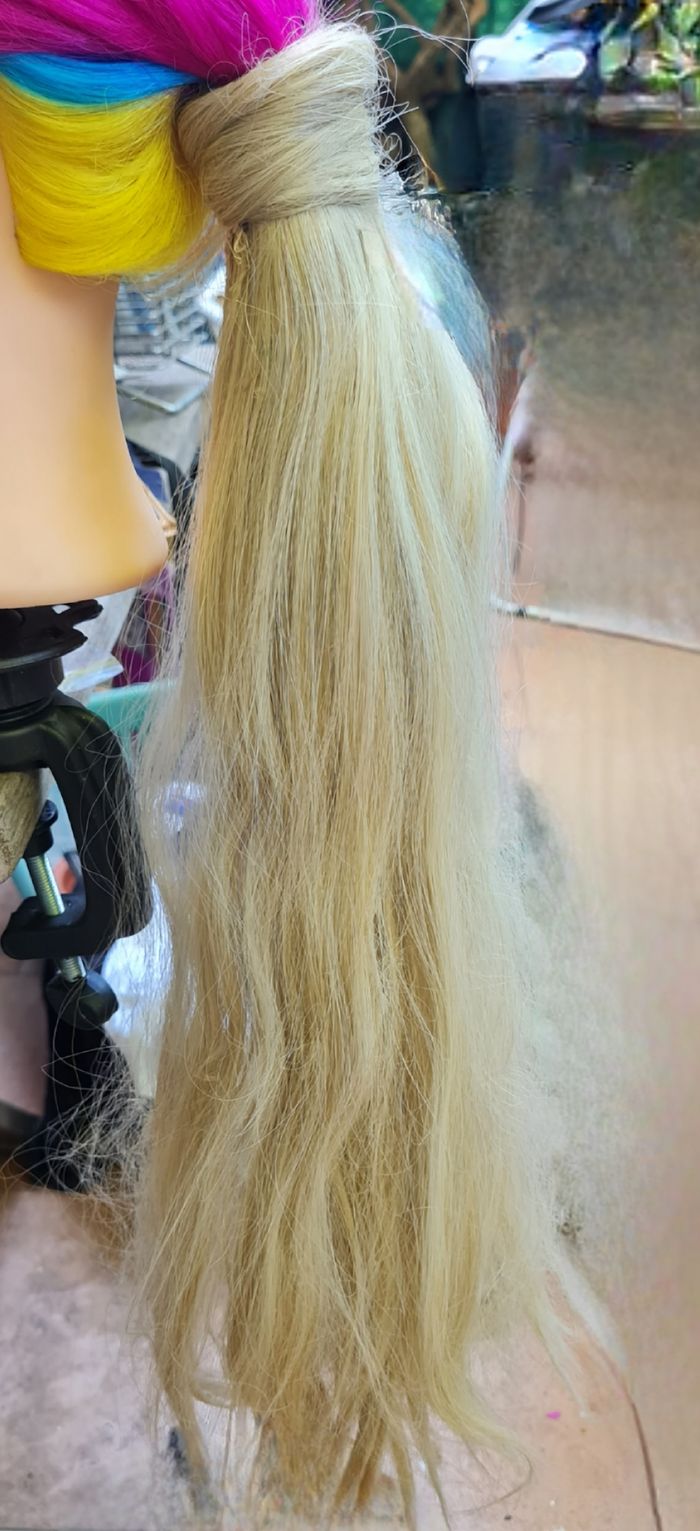 Extention queue de cheval - photo numéro 4