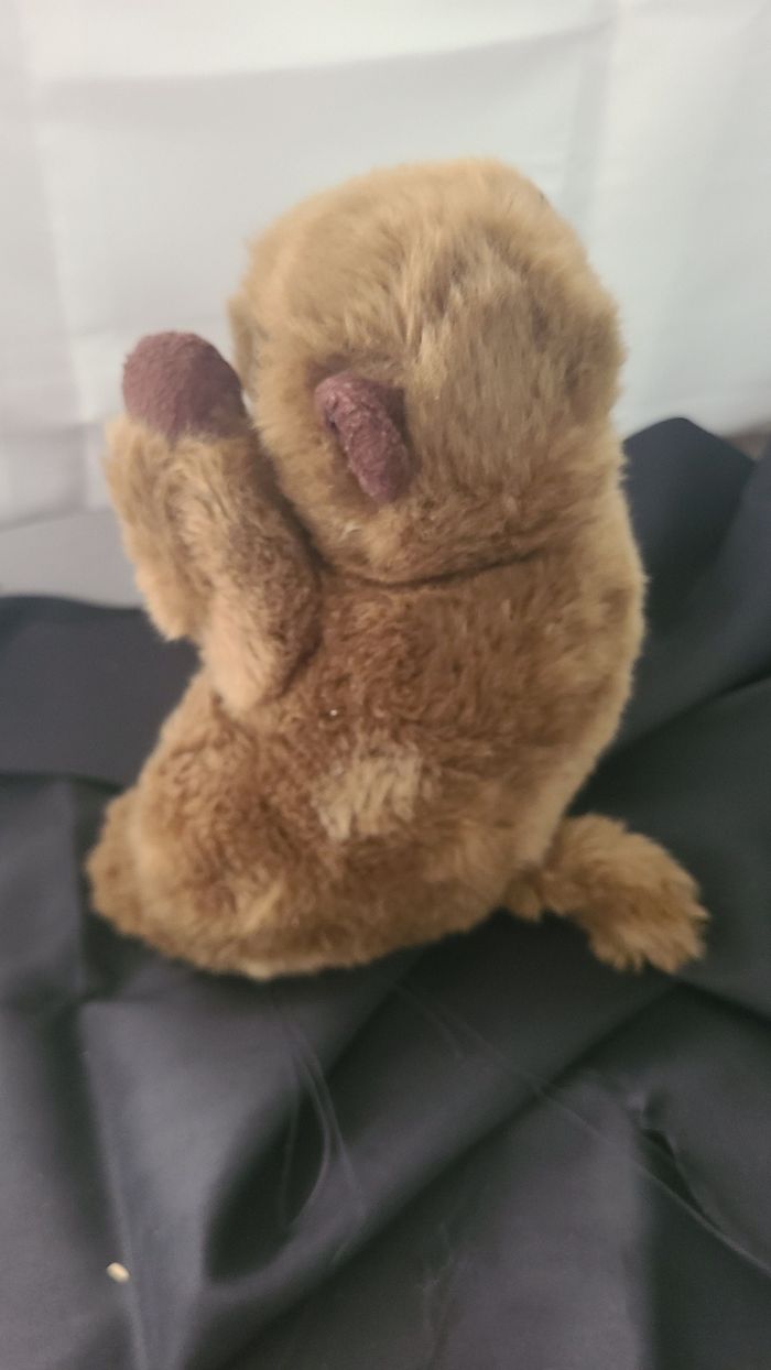 Peluche musicale marmotte RODA marron - photo numéro 5