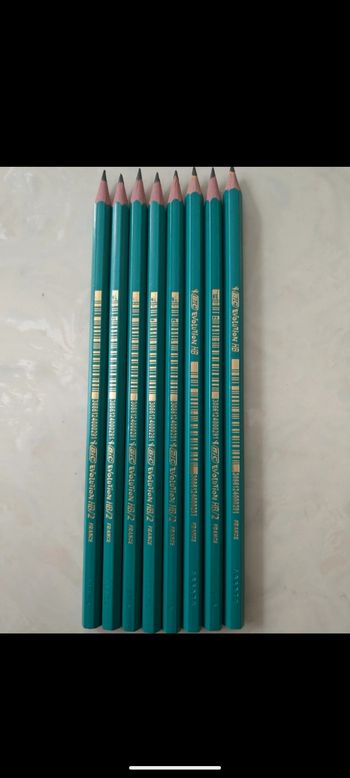 Lot de 8 crayons de papier BIC Évolution HB/2