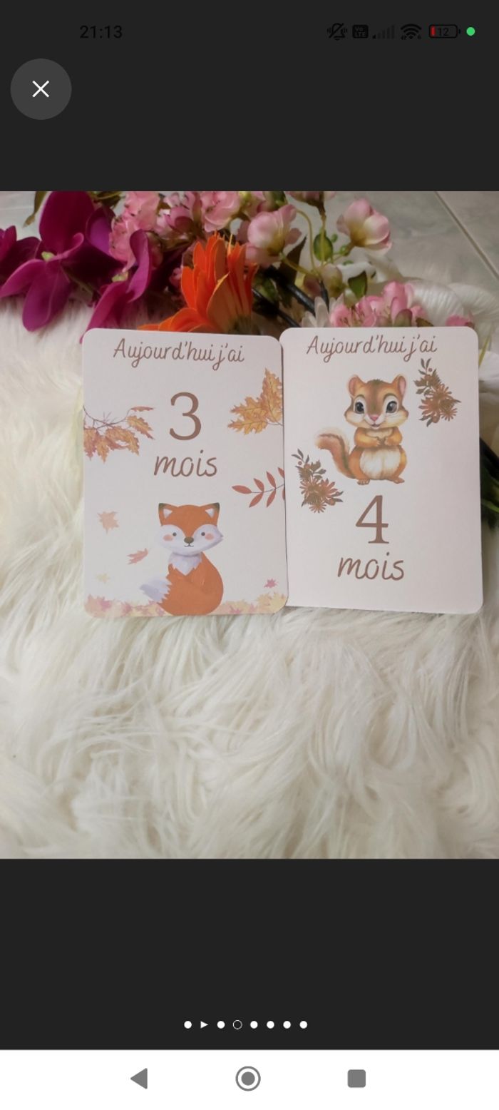 Carte étape bébé - photo numéro 3