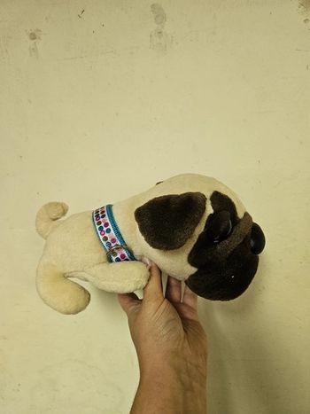 Peluche chien carlin