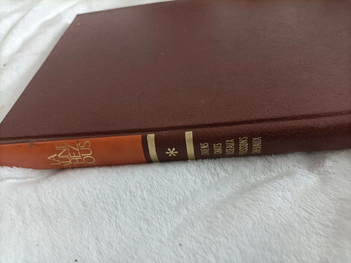 La faune chez nous – Chats, chiens, chevaux & oiseaux - photo numéro 2